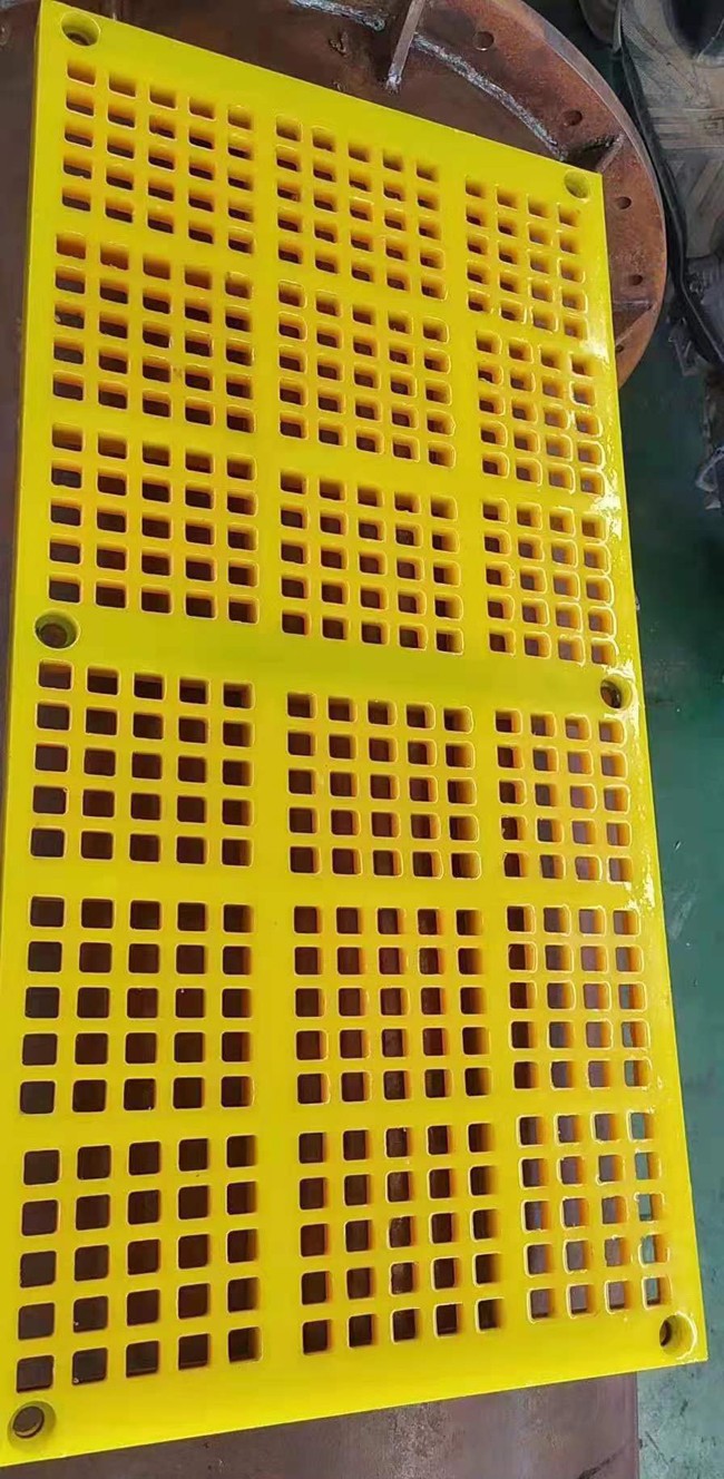 202409090006506699.jpg