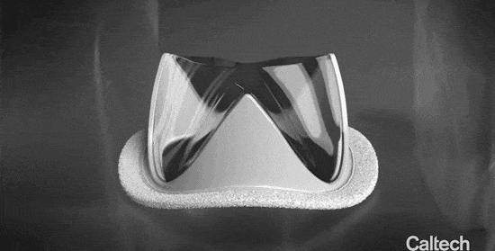 202506145341174622.gif 6.gif